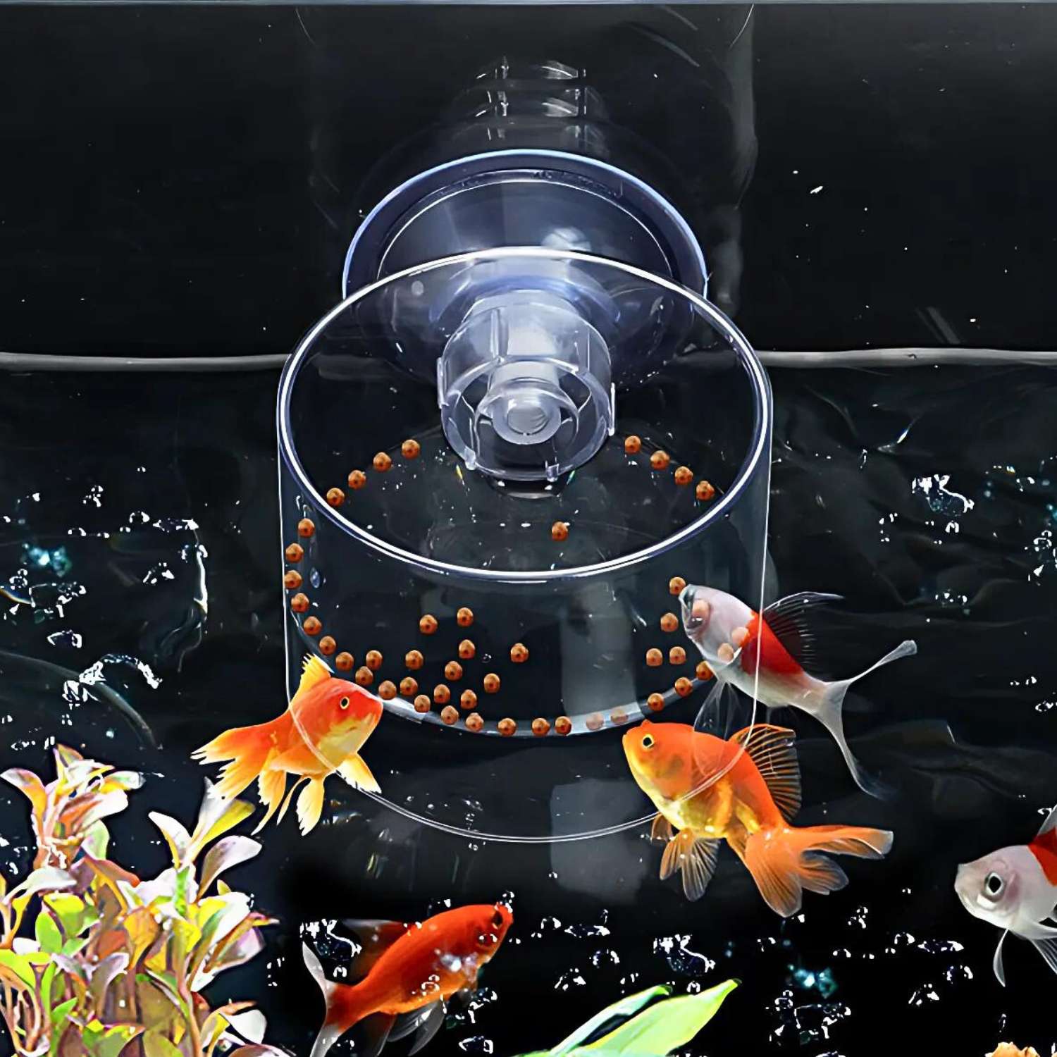 acryl voedingscirkel voor vissen voeren